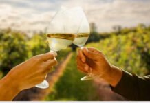 Icewine: A Taste of Niagara & the Romance of the Vineyard