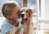 Because Your Dog Runs the House: 10 Things That Make Life Easier