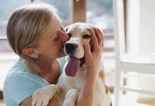 Because Your Dog Runs the House: 10 Things That Make Life Easier