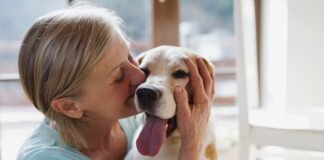 Because Your Dog Runs the House: 10 Things That Make Life Easier
